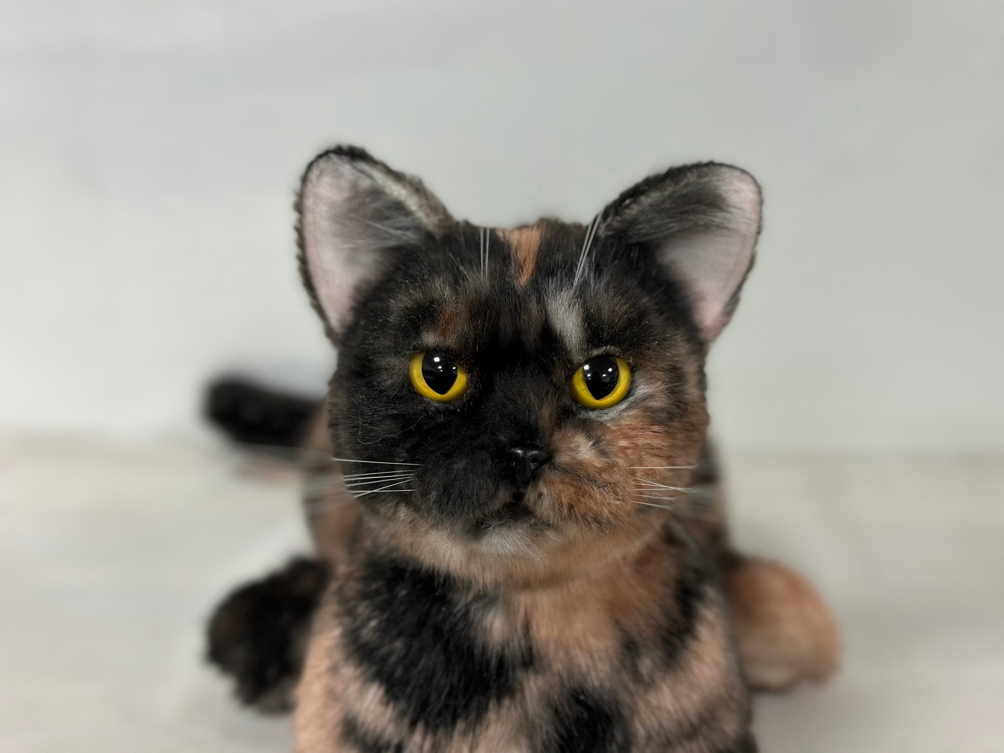 Plush Tortoiseshell Cat Shorthair- Handmade Life-Size Companion & Pet Memorial