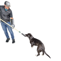 Humane Innovations Y Pole System